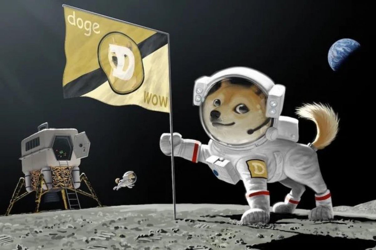 zerobuilding's tweet image. AI ZERO DOGE MARKETPLACE SOON.

%95 Community 
%5 Team and Liqiudity

First DRC20 meme coin, FUCKING TO MOONNNN 

#Dogecoin #memecoin  #drc20