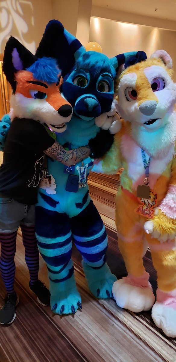 RusanHusky tweet picture