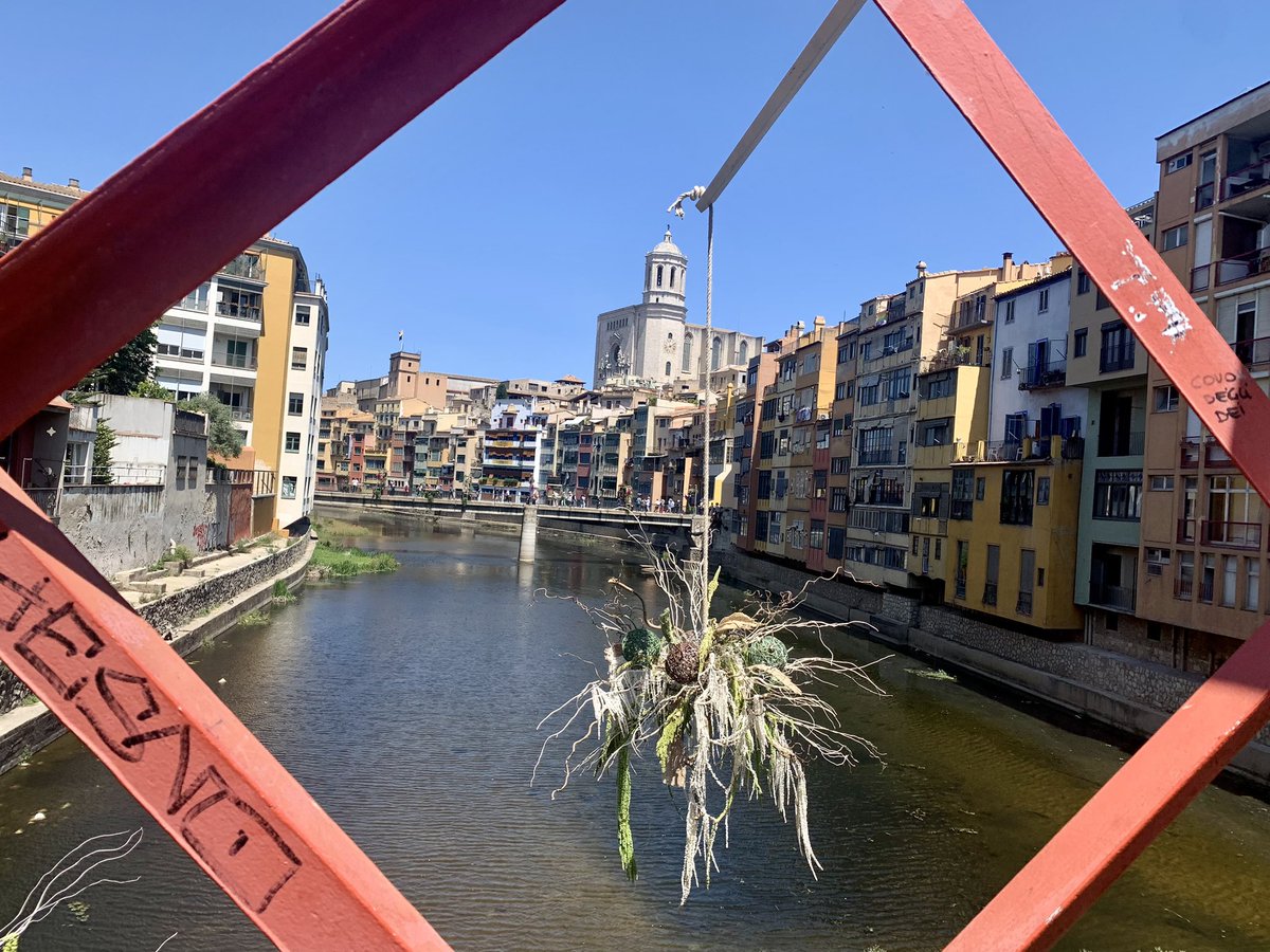 j0sepMontserrat's tweet photo. Avui a Girona, a la Comissió de les UUDD AFIC de Catalunya; propostes i treball conjunts per millorar la qualitat docent https://t.co/pdIm4bgzTJ