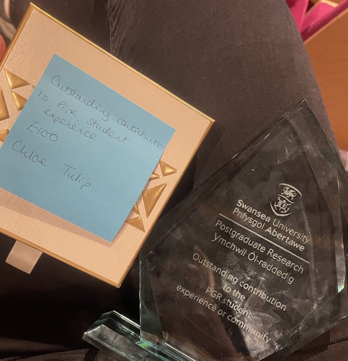 drchloetulip's tweet photo. Chuffed to receive an award for outstanding contribution to the PGR student experience. Doing a PhD can be a lonely business. I’ve loved creating a supportive network who help in the lows and cheer for the wins. Speaking of, off to celebrate @JessMead7 for passing her viva! 🥂 https://t.co/Kq8ZU7IpHs