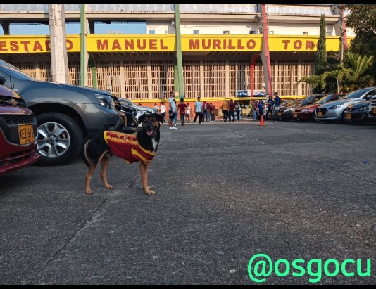 Este CAN ya está listo para el <a href="/cdtolima/">Club Deportes Tolima</a> vs <a href="/nacionaloficial/">Atlético Nacional</a> Y usted ya compró la boleta?
<a href="/DianaPijao/">Diana Pijao ⭐⭐⭐</a> <a href="/HumoPijao/">Humo Pijao ⭐⭐⭐️</a> <a href="/jcartagena07/">Jaime Cartagena Sáenz</a> @JennyR2207 <a href="/josasc/">José Orlando Ascencio</a> <a href="/joseperiodista/">Jose Alberto Ortiz R</a> <a href="/lacabrillacol/">La Cabrilla Noticias y Radio</a> <a href="/andresmarocco/">Andres Marocco</a> <a href="/MONYRODRIGUEZOF/">MÓNICA RODRÍGUEZ 🐤</a> <a href="/LechonaN/">LechonaNation 🐷🌎</a> <a href="/MelisaMarArtuz/">Melissa Martinez</a> <a href="/SC_ESPN/">SportsCenter</a> <a href="/ibaguejedepor/">ibagueejedeportivodecolombia</a> @Biciperiodista