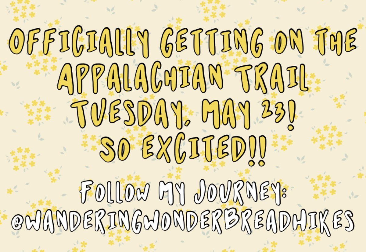 WanderingWonderBread tweet media