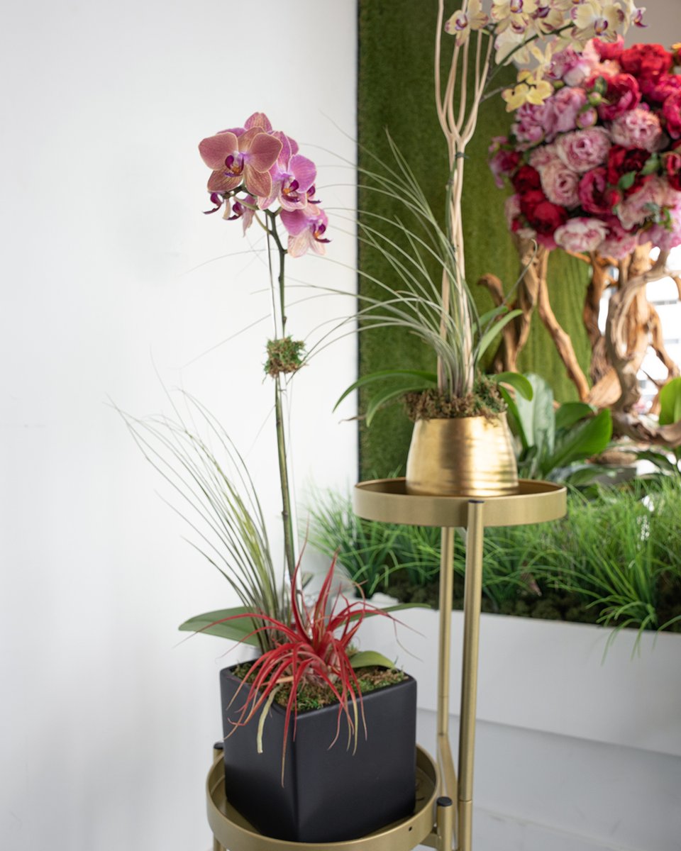 South Florals tweet media