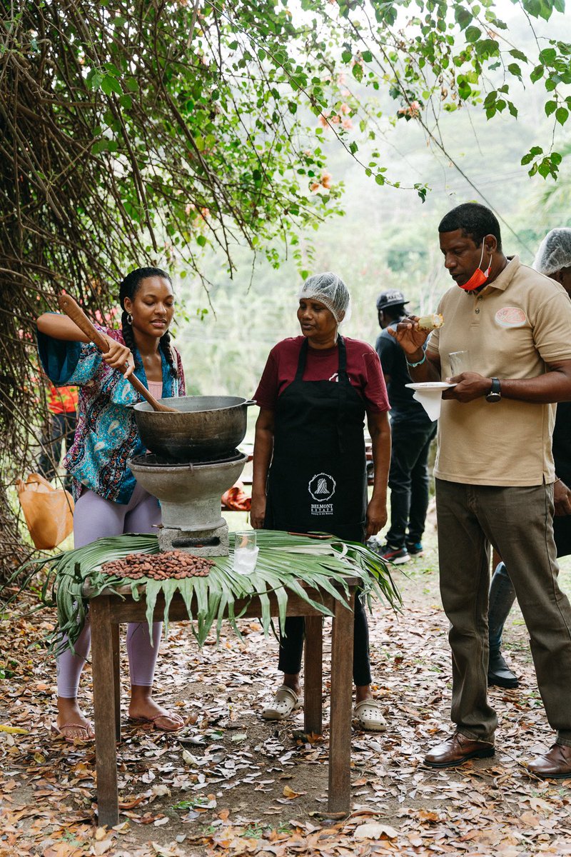 Today we are at Belmont Estate- Cocoa Farm Traditions!

A day filled with cultural presentations, chocolate centred lunch, cocoa tea party and much more! Also, an interesting chit chat with Martin Christy, an expert in fine chocolate tasting. See you soon!