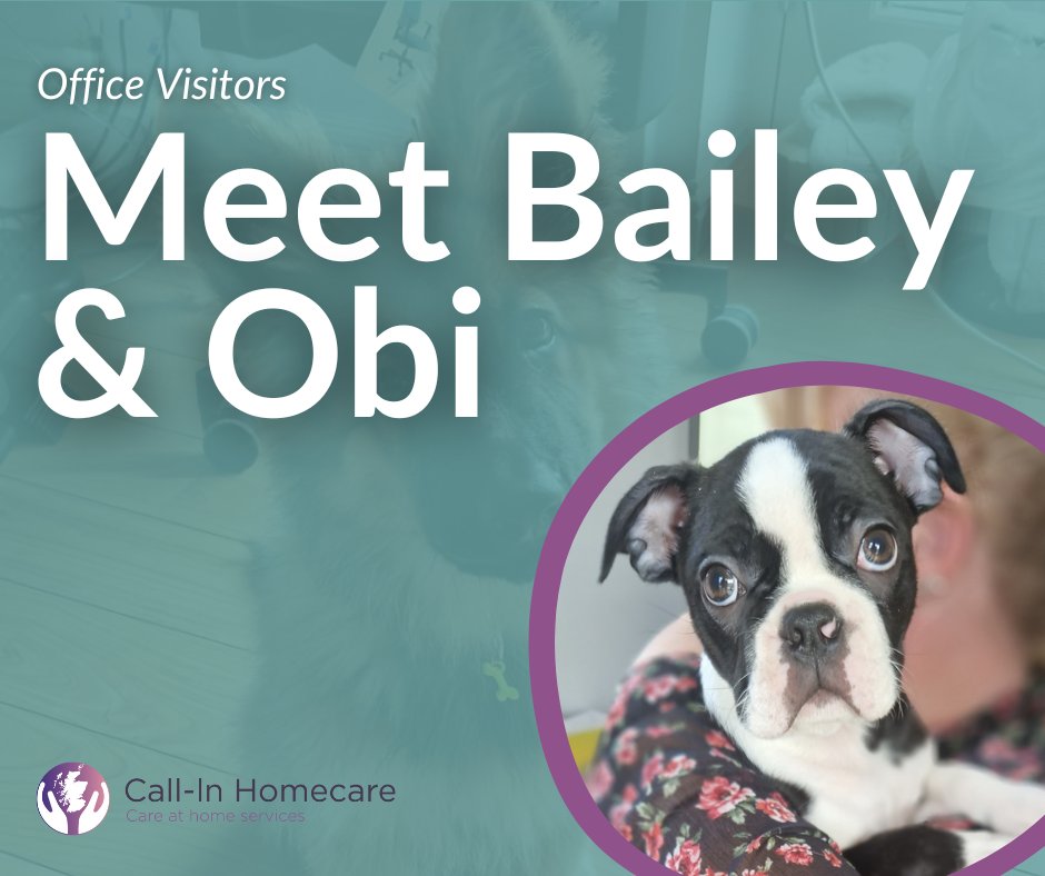 Call-In Homecare tweet media