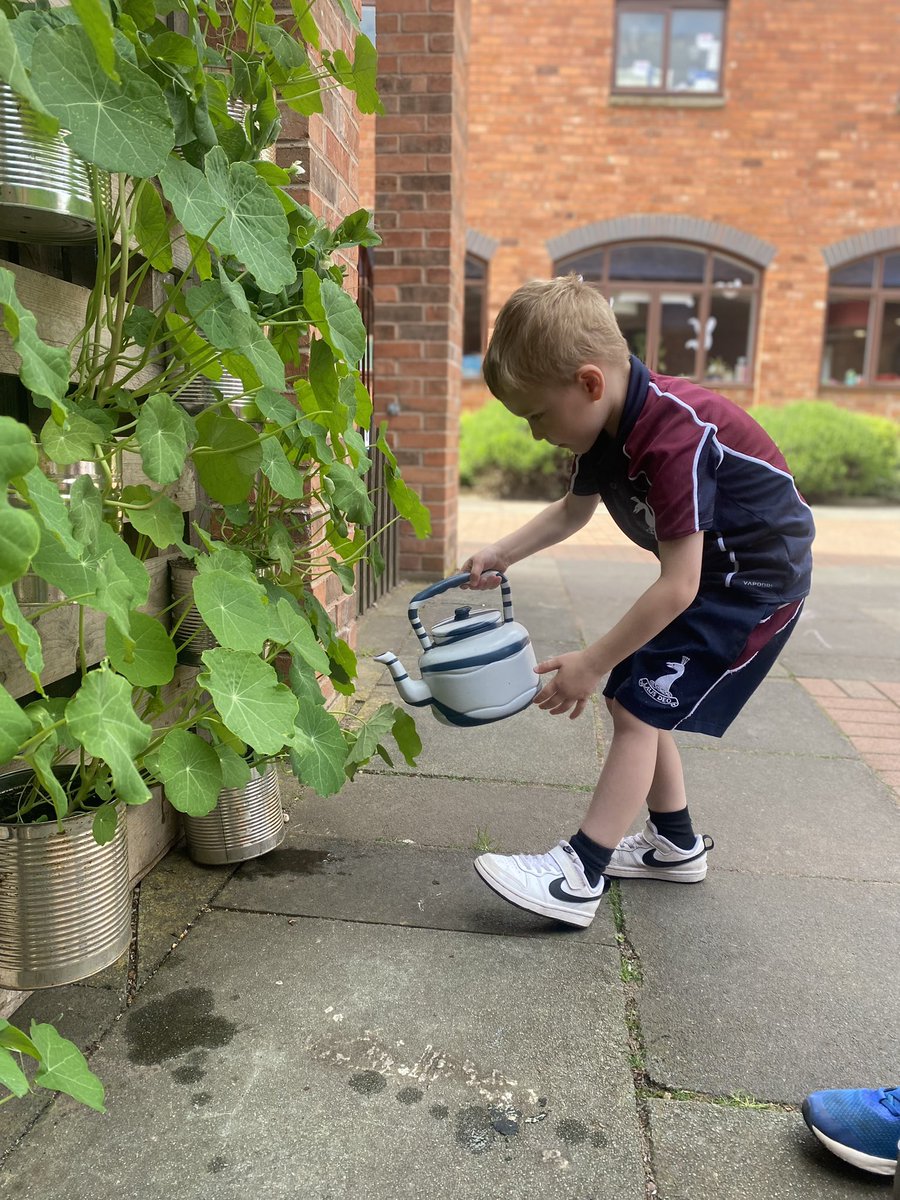 BelMiles73's tweet photo. Receptionβs garden is coming on beautifully πΈπΌ@winterfoldhs #winterfoldreception #outdoorlearning https://t.co/J7stjL3GmP