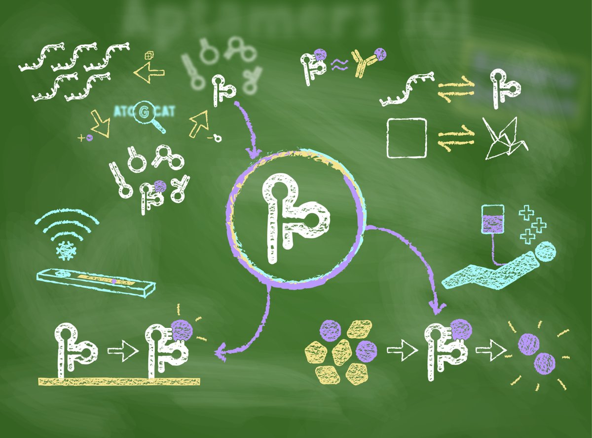 Suzie Pun (@suziepun) on Twitter photo Interested in learning about aptamers? Check out Lucy Yang's review "Aptamers 101: aptamer discovery and in vitro applications in biosensors and separations" in Chemical Science. xlink.rsc.org/?DOI=D3SC00439B
<a href="/AstralLatios/">Lucy 🔜 Anaheim</a> <a href="/UWBioE/">UW Bioengineering</a> <a href="/ChemicalScience/">Chemical Science</a> Interested in learning about aptamers? Check out Lucy Yang's review "Aptamers 101: aptamer discovery and in vitro applications in biosensors and separations" in Chemical Science. xlink.rsc.org/?DOI=D3SC00439B
<a href="/AstralLatios/">Lucy 🔜 Anaheim</a> <a href="/UWBioE/">UW Bioengineering</a> <a href="/ChemicalScience/">Chemical Science</a>