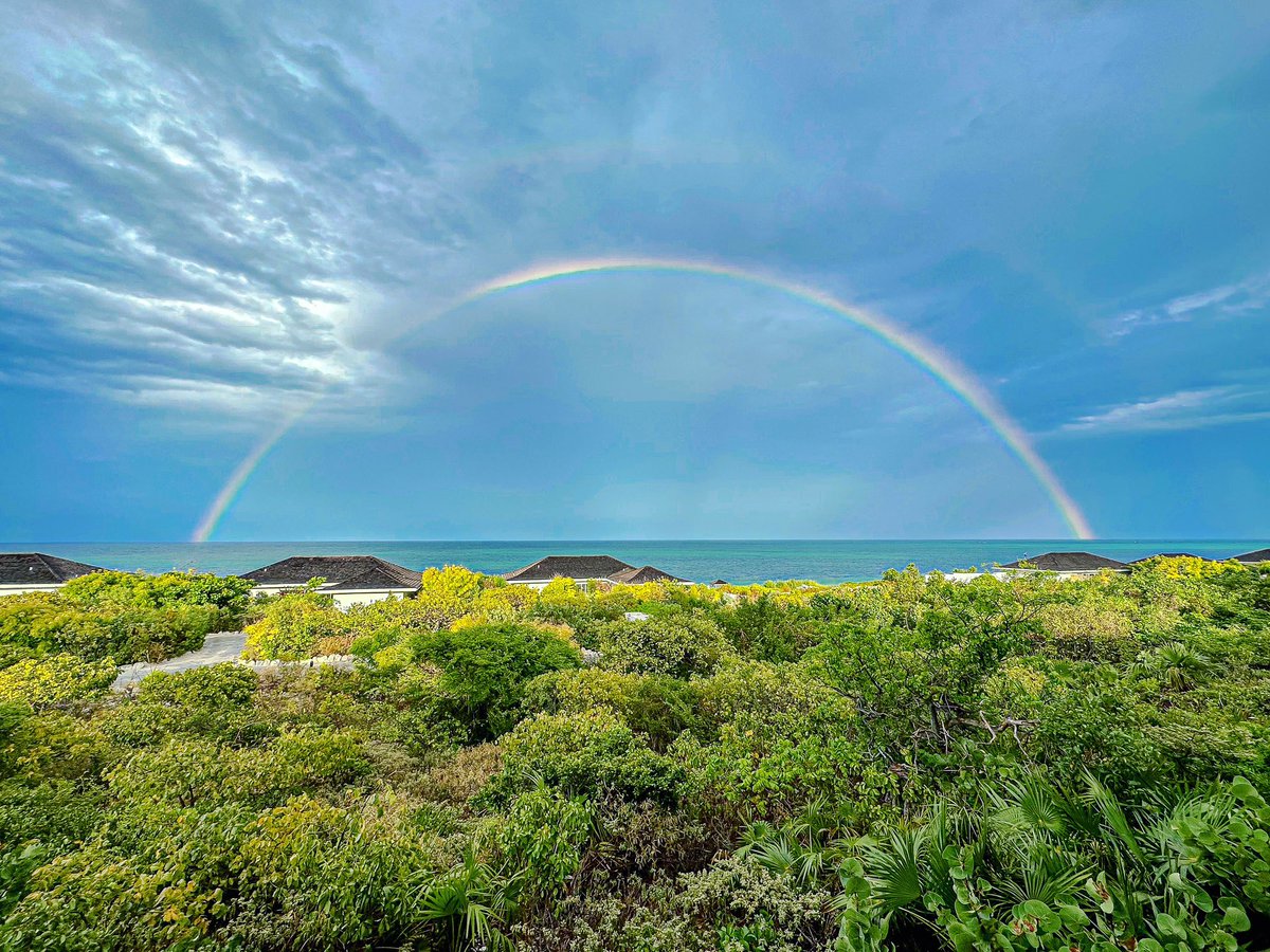 Sara Lynn Burnett tweet media