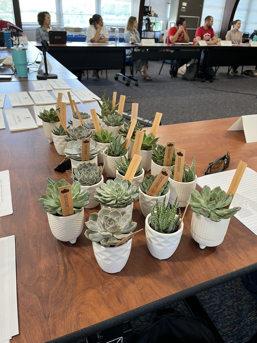 Dr. Kimberly Dechant tweet media