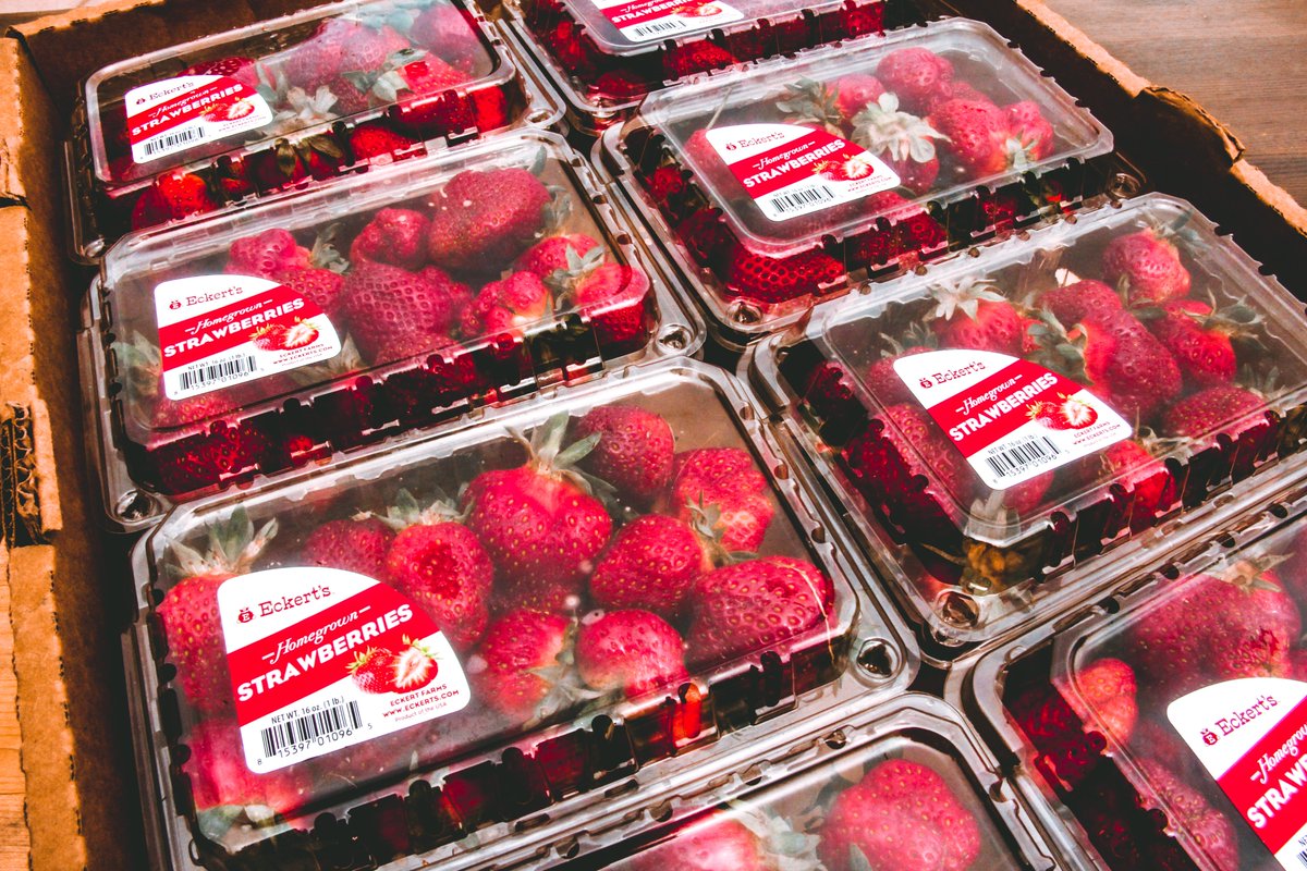 🍓Strawberry SALE 🍓 Today only, enjoy a FREE flat of our homegrown strawberries, when you buy a flat at regular price. One flat is approximately 8lbs, so with this special deal, you will receive 16lbs for $40. Hurry in, the store closes at 7pm.