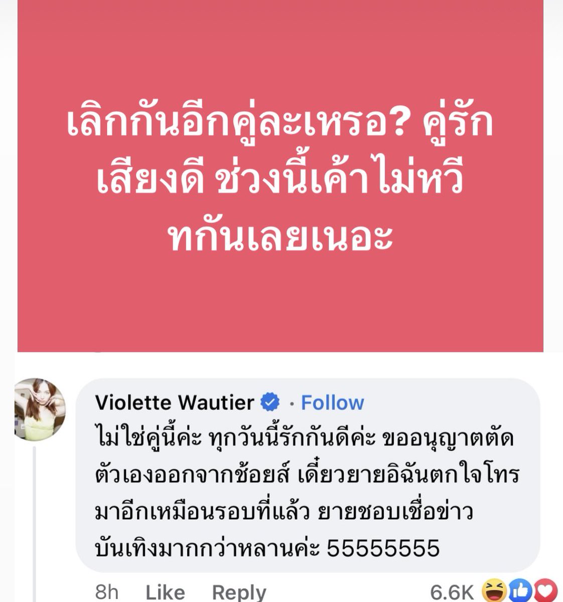 jsmtjyygyjbbjb's tweet image. วี วิโอเลต55555555555555555555