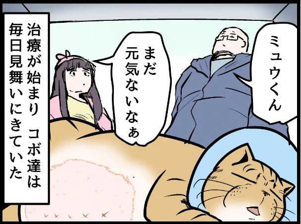 手術が終わった安堵感がなにもかもを愛おしくさせます笑  covovoy.blog.jpからまだ未公開の最新話を読むことができます!   #ニャンコ #まんが #猫 #猫あるある #猫漫画 #ペット #飼い主 #エッセイ漫画 #キャット #猫のいる暮らし
