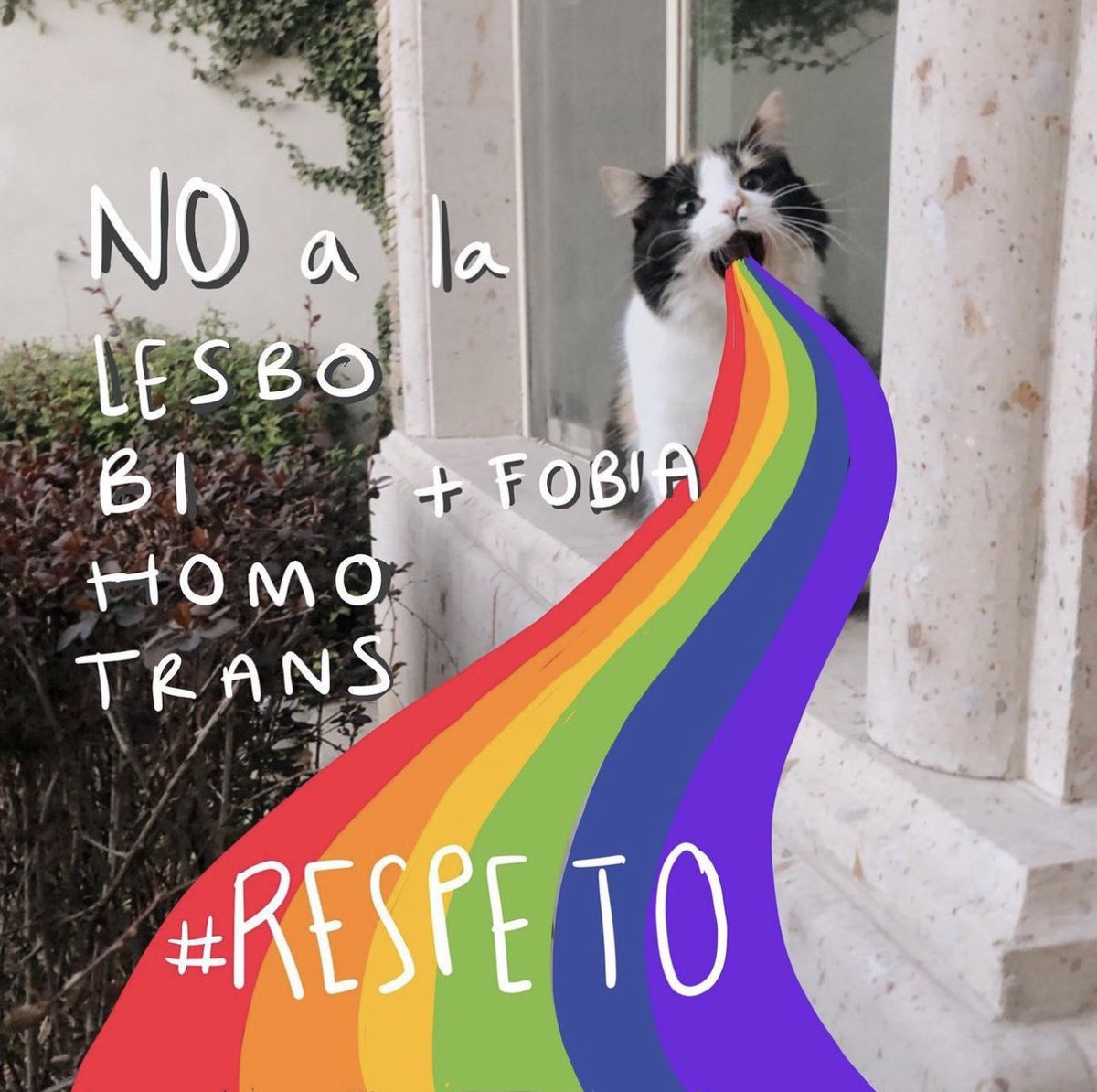 GatitosVsDesig's tweet photo. Miau. Este 17 de mayo es el #DiaContralaLGTBIfobia. No a la Lesbofobia, Bifobia, Homofobia ni Transfobia 🔥

La discriminación, estigmatización y los crímenes de odio contra ellxs son expresiones graves de desigualdad.

#GatitosContraLaDesigualdad
#DiaContraLaLGTBIfobia #LGBTQI https://t.co/ZWX2iHIpBw