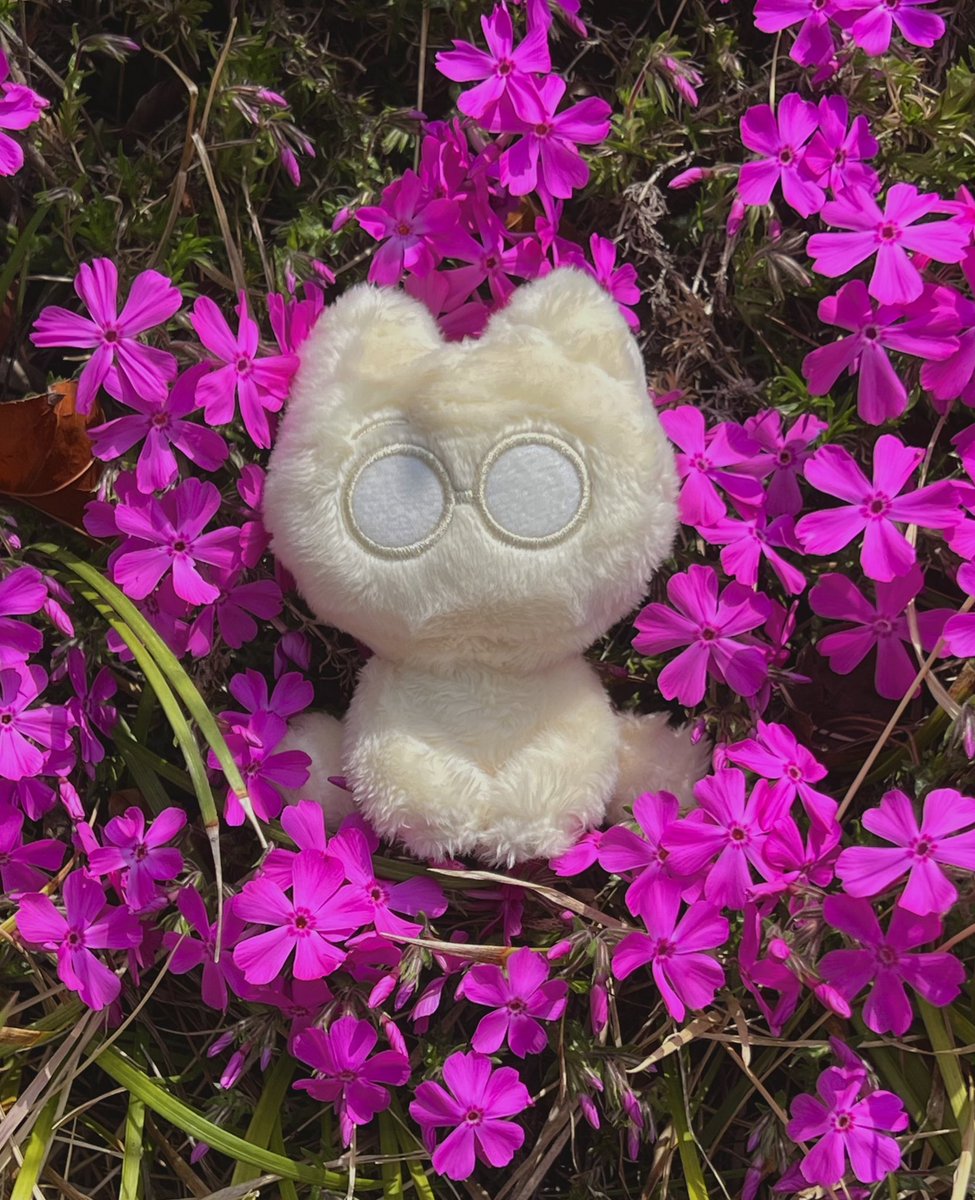 WW_0526's tweet photo. #에브리_애옭
털 정리 못한 애옭이랑 꽃구경 가기 🌸🩷 https://t.co/4ObmDNrInd