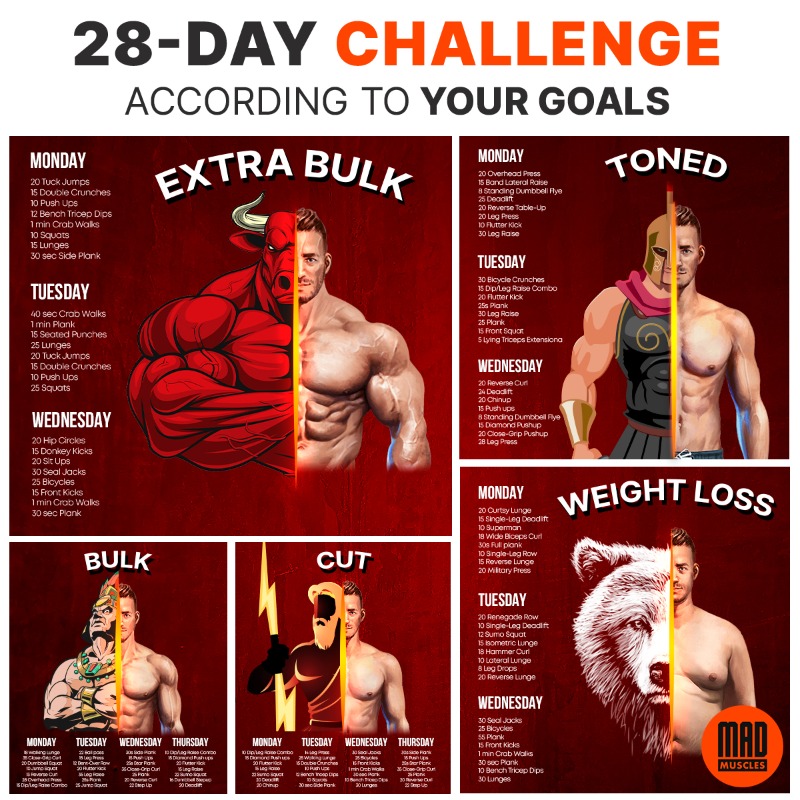 MadmusclesPlans's tweet photo. Stay in shape effortlessly with MadMuscle, your ultimate workout companion💪#MadMuscle #StayFit 📲