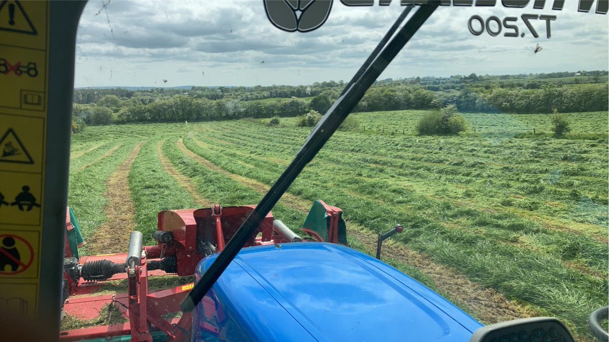 Damien Callaghan tweet media