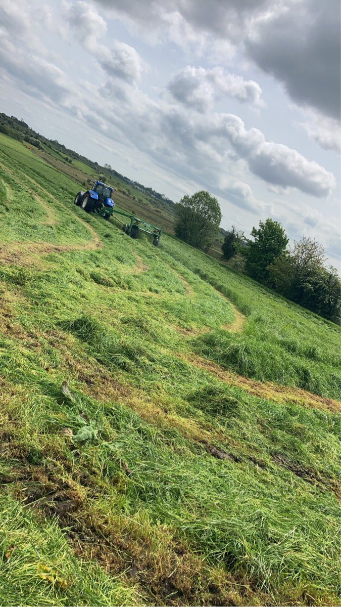 Damien Callaghan tweet media