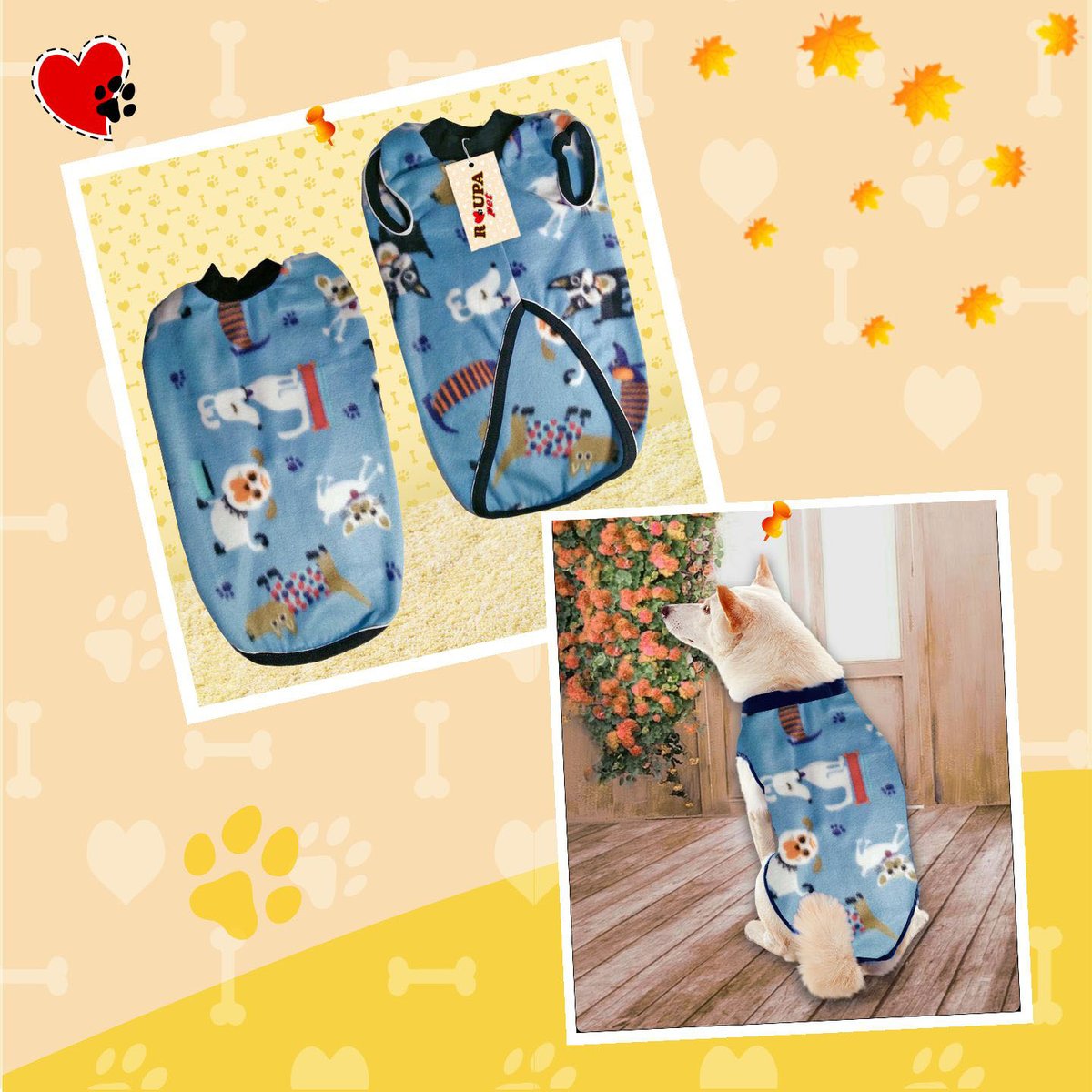 A linha Soft Casual sem mangas da #RoupaPet 🐕é confortável e adequada p/ proteger s/#pet🐶🐱🐷🐰em dias frescos do #outono🍂, malha mais fina, macia e bem quentinha.

🛒 Visite nossa loja roupapet.com.br 🐾

#roupinhapet #roupasparapets #roupaparapet #roupaparacachorro