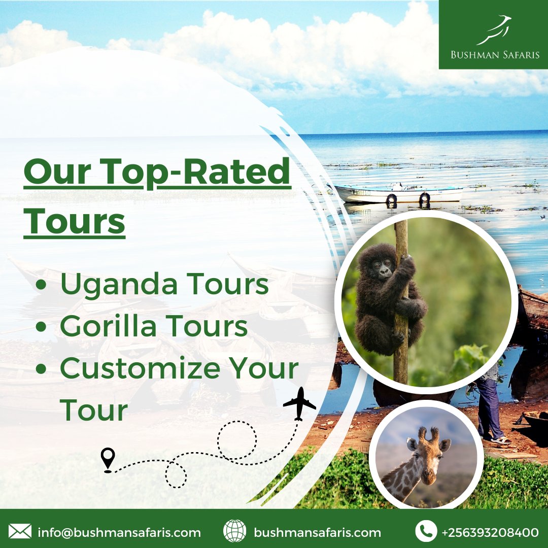 Let us help you plan your tour.
To know more, visit bushmansafaris.com

#tours #uganda #BushmanSafaris #ugandasafaris #wildlifesafari  #gorillatours #ugandagorillas #visitugandatomorrow #margheritapeak