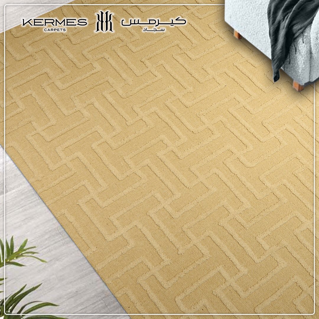 kermescarpets's tweet photo. تشكيلات السجاد الهندي بالرسم الهندسي الرائع 👌🏻
⬇️⬇️

https://t.co/U1OeLekk9U

#سجاد #كيرمس https://t.co/jLqD62SxaK