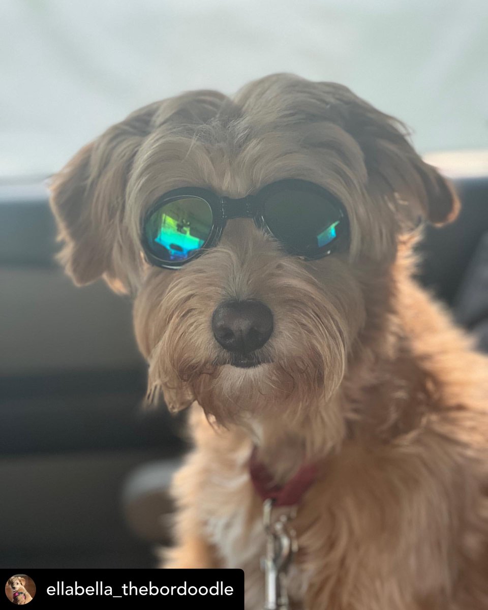 TheKeswickBlog's tweet photo. She puts up with all of our crazy schemes and ideas and we embrace of all of her craziness (and believe me, she brings the crazy with her everywhere she goes!) https://t.co/p3ulzwZFB5