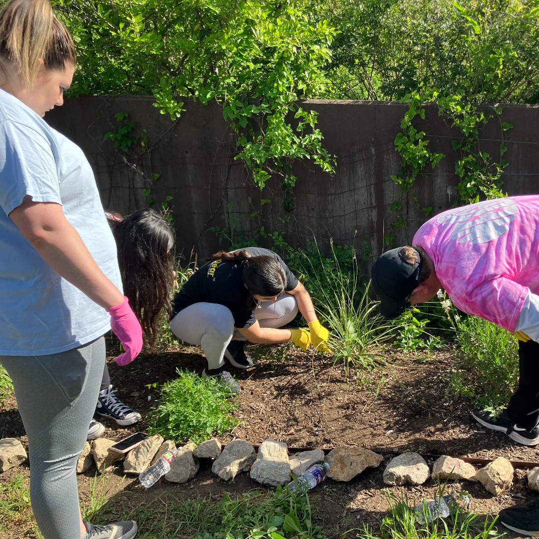 consiliumlocums's tweet photo. Consilium makes the world better, one seed at a time on Earth Day.
Read more here: https://t.co/DsoBDFg2OJ
#consilium #earthday #TXCAT #wearetca #pollinators #youareconsilium #navtiveplants #wildflowers #plants #birds https://t.co/VN7RoQUotL