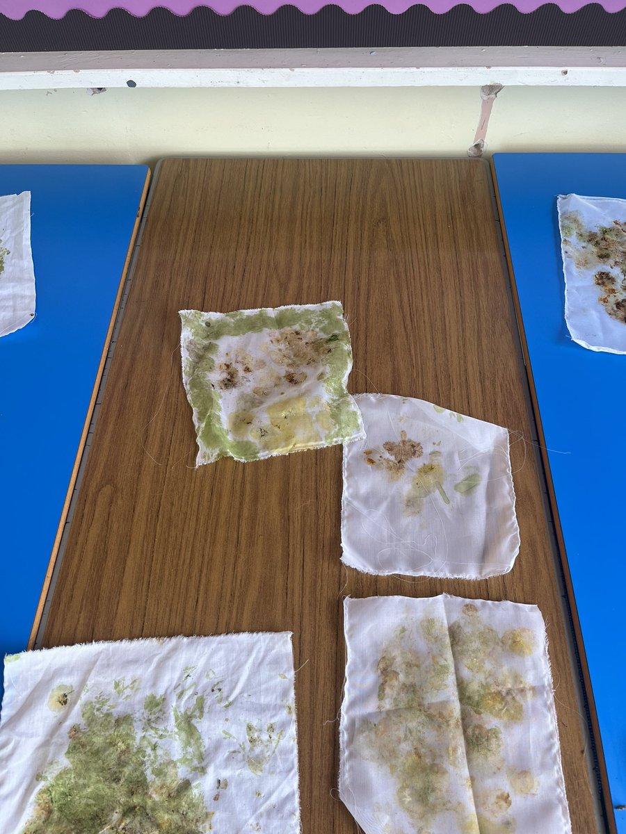 MissSteel7's tweet photo. Springtime smash art today! Lots of fun and creativity exploring natural dyes in the playground. Next week we are planning on experimenting with our findings to create our own liquid fabric dye! @FernieleaSchool #forestschool #outdoorart #happysafeachieving https://t.co/MEjqZRiI02
