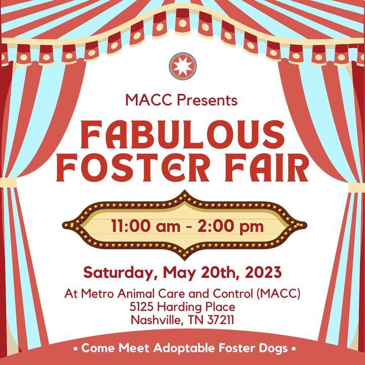 🐶 RECRUITING FOSTERS 🐶

Come one, come all to the Fabulous Foster Fair! Join <a href="/NashAnimalCare/">MACC Nashville</a> on Saturday from 11am-2 pm to meet the amazing and adoptable foster dogs of MACC. They have dogs of every size, age, color and energy level. 

Who’s ready to FOSTER? It saves lives!