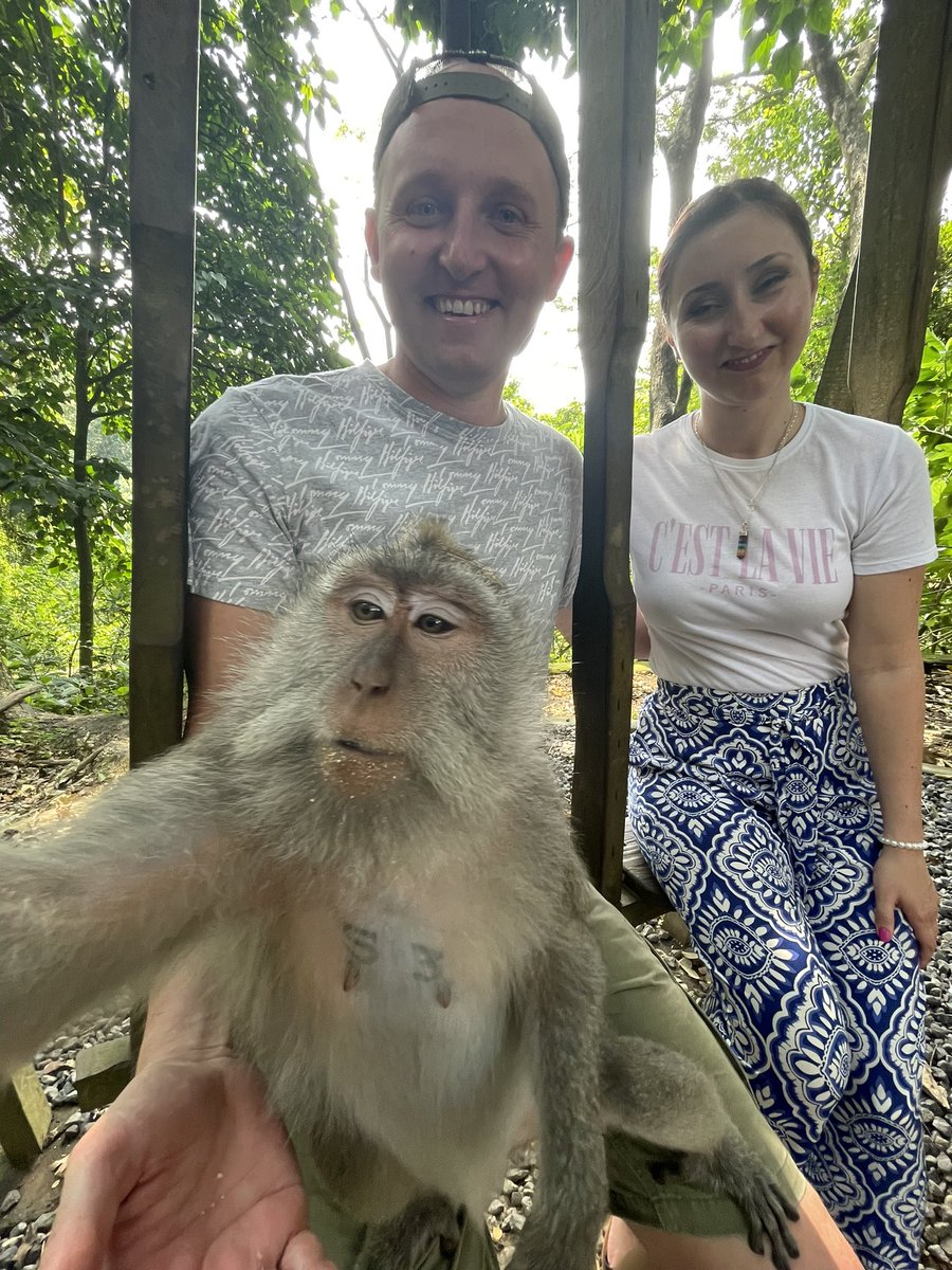 cezardb's tweet image. As a #EAPE holder I been stopped by a real ape who wanted to take a selfie with us while exploring #Bali 

#EGLD #MultiversXNFTs #MultiversX
