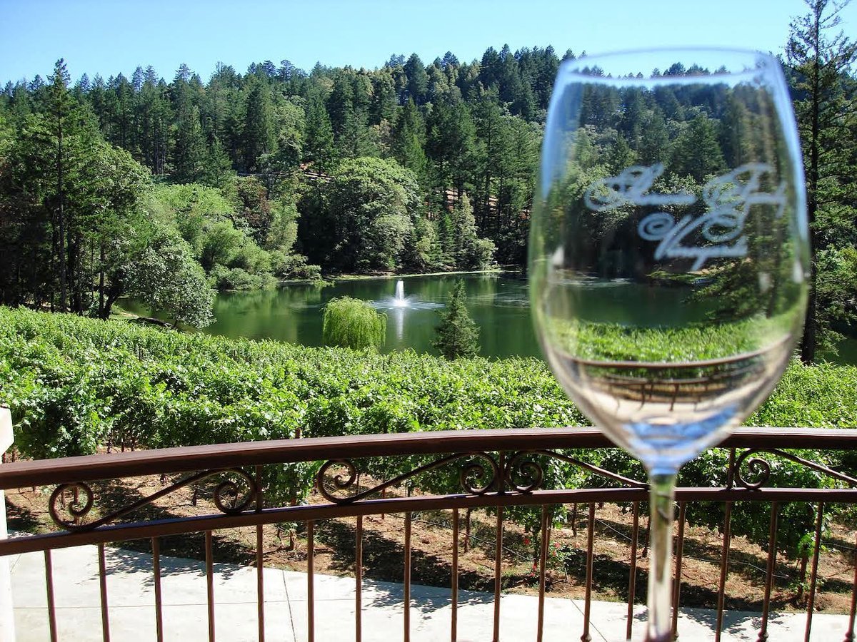 Did you know that Sherwin Family Vineyards is open for #winetasting once again??? They have rebuilt after the #GlassFire & are ready to share their incredible #wine & views with you once more! 

l8r.it/MeV3

#sthelena #napa #winewednesday