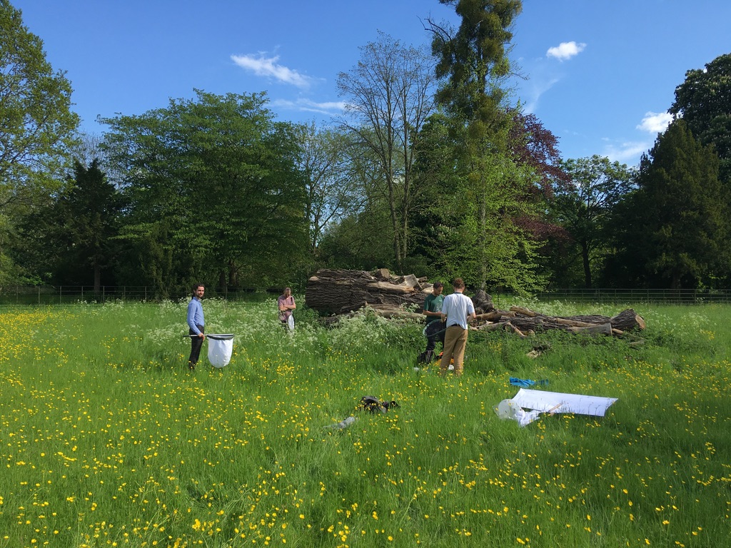 TimBarraclough9's tweet photo. A beautiful day last week surveying beetles in the water meadow @magdalenoxford with our @OxfordBiology students led by Benedict Pollard (https://t.co/H45sMS4PUc) and Darren Mann (@morethanadodo). Check out the thread to see what we found. https://t.co/1SYRnE3dGw