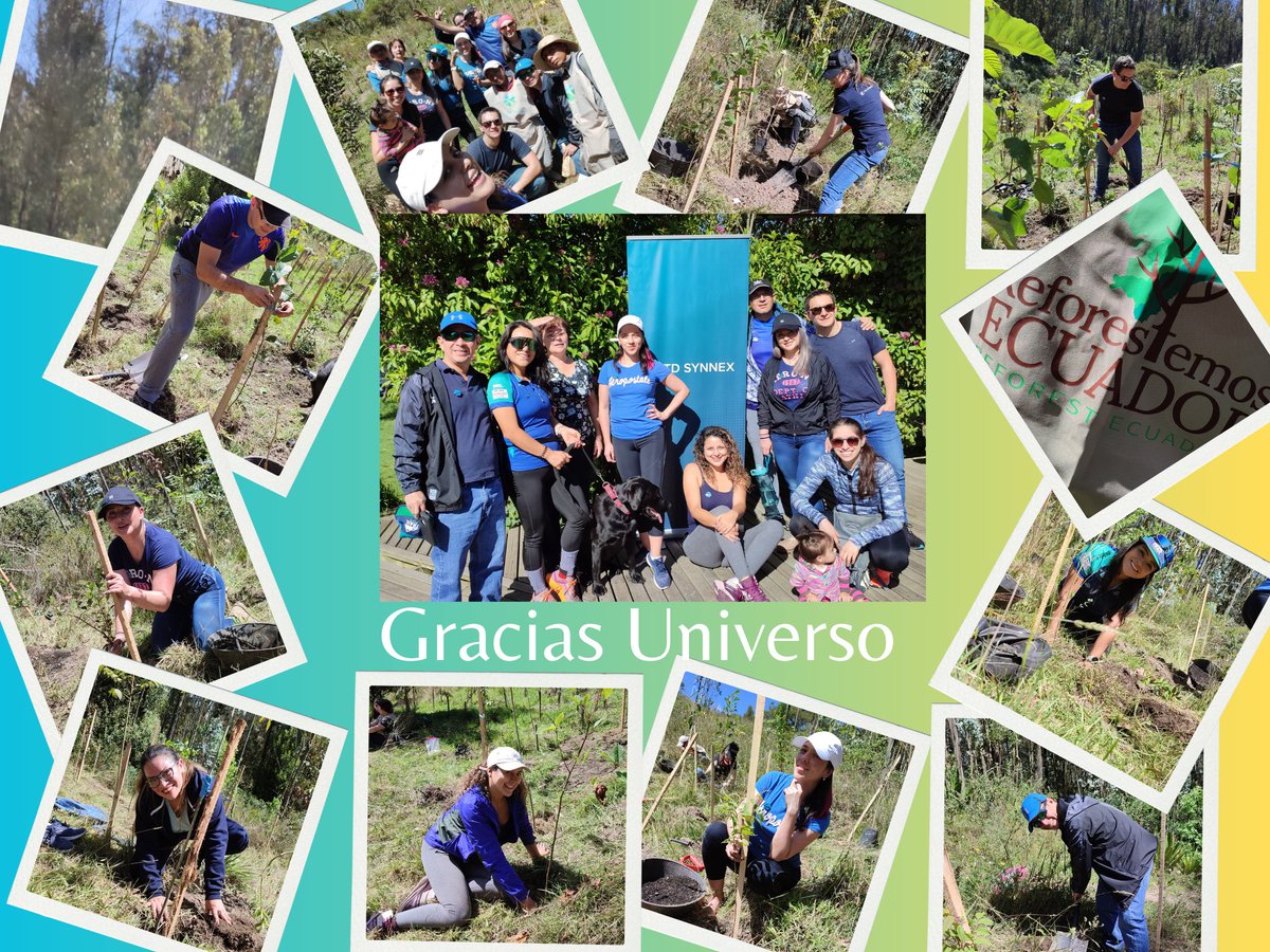 Vanezk29's tweet photo. "Quien planta un árbol, planta una esperanza". - Lucy Larcom 
Voluntarios #tdsynnex #sembrandoesperanza https://t.co/dMgozilC70