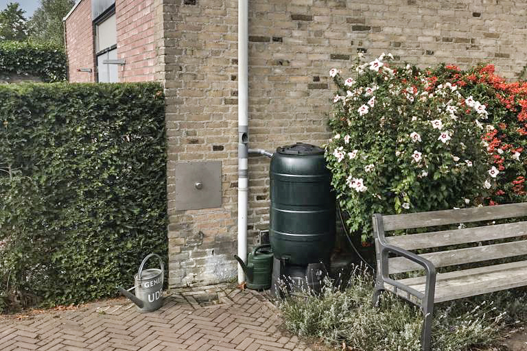 Inwoners, ondernemers en maatschappelijke organisaties zoals scholen uit de Hoeksche Waard kunnen een financiële bijdrage aanvragen bij de gemeente voor het opvangen van regenwater en het aanplanten van groen op het eigen terrein 🌿💦 Meer info👉 bit.ly/435uPHq