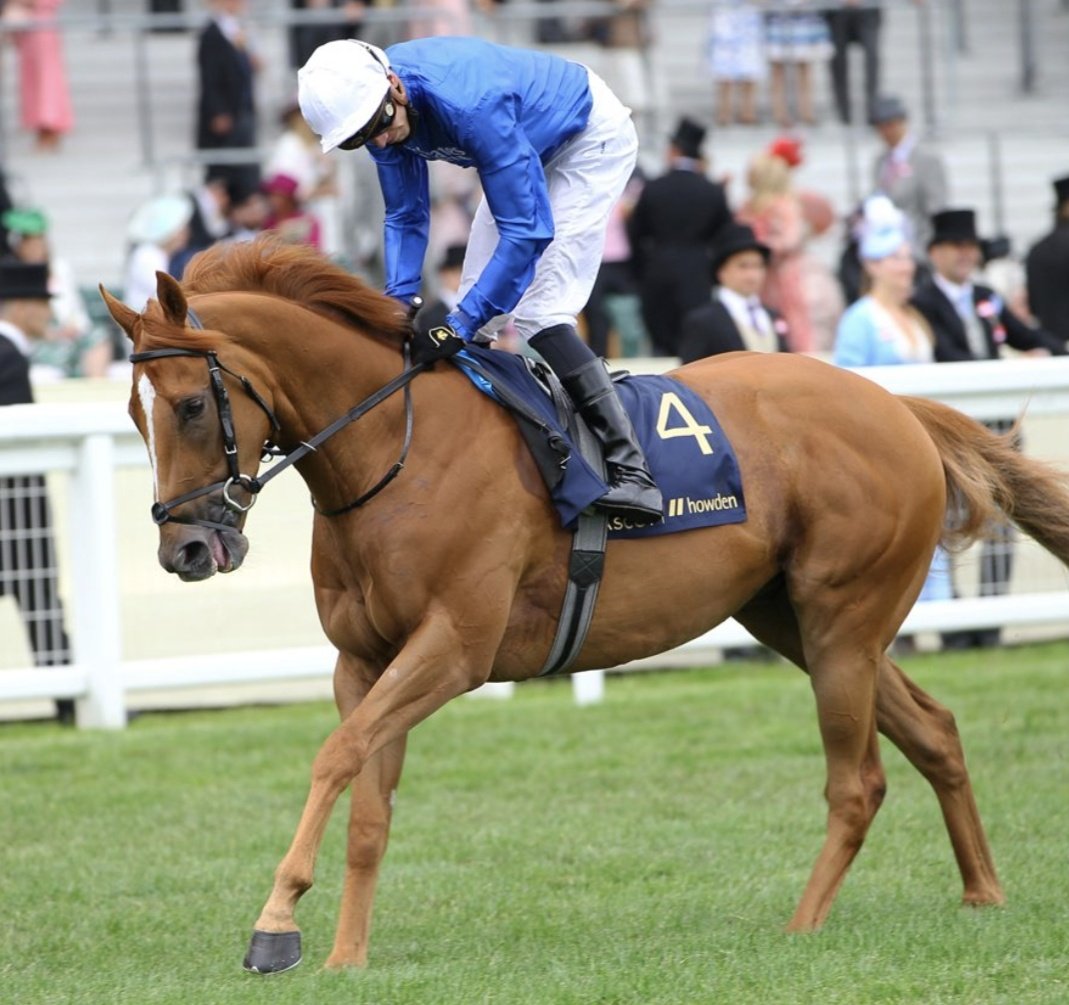 Stephen R Power tweet media