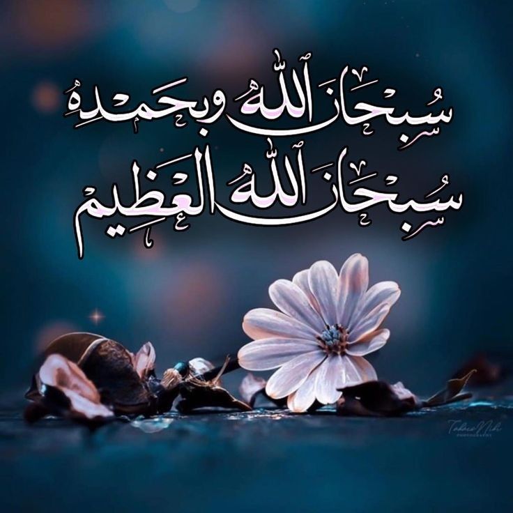 almntnkh's tweet photo. @klk9almalk9 سبحان الله وبحمده سبحان الله العظيم,سبحان الله وبحمده سبحان الله العظيم ,سبحان الله وبجمده سبحان الله العظيم,سبحان الله وبجمده سبحان الله العظيم,سبحان الله وبجمده سبحان الله العظيم,سبحان الله وبجمده سبحان الله العظيم زنة عرشه ومداد كلماته https://t.co/On0wDMbSsA