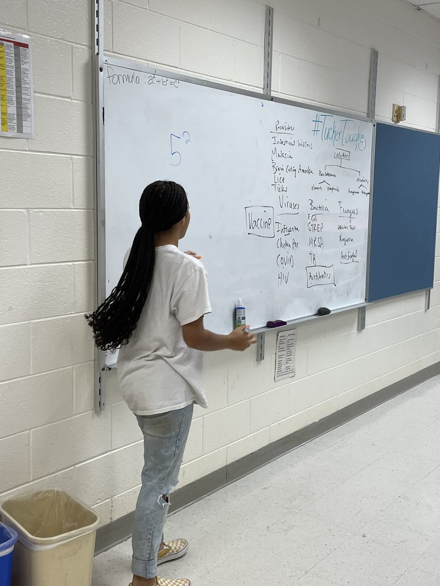 MACSchools's tweet photo. Mount Airy Middle School is focused on all the learning this morning. Students competing, creating, and teaching. #MAMSlife #GrowingBears https://t.co/2gLwShooW1