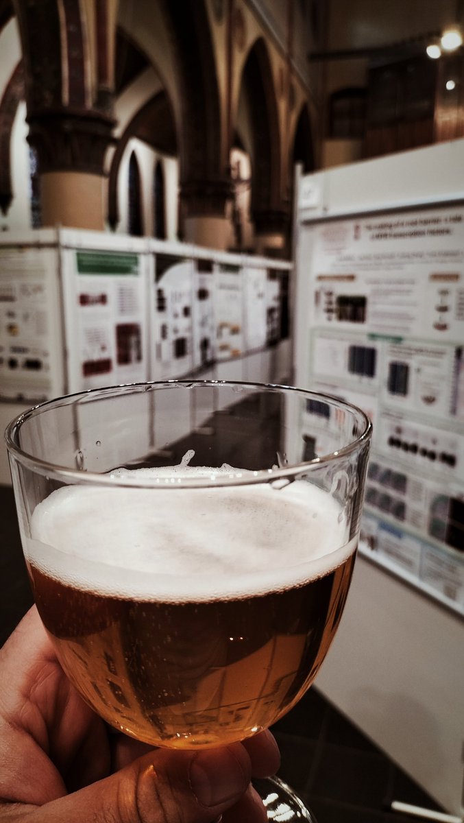 AEljebbawi's tweet photo. Poster session is starting soon at #Rooting2023 in #Ghent, a belgian "gentse strop" beer for a fresh start after a boat trip into the confluence of the Lys and Scheldt- @VIBConferences https://t.co/89PXj2hw6C