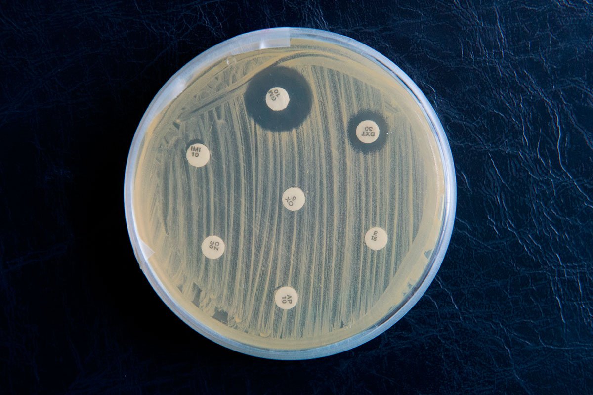 The villain (vaccines with chips) / The real villain (antibiotics resistance)