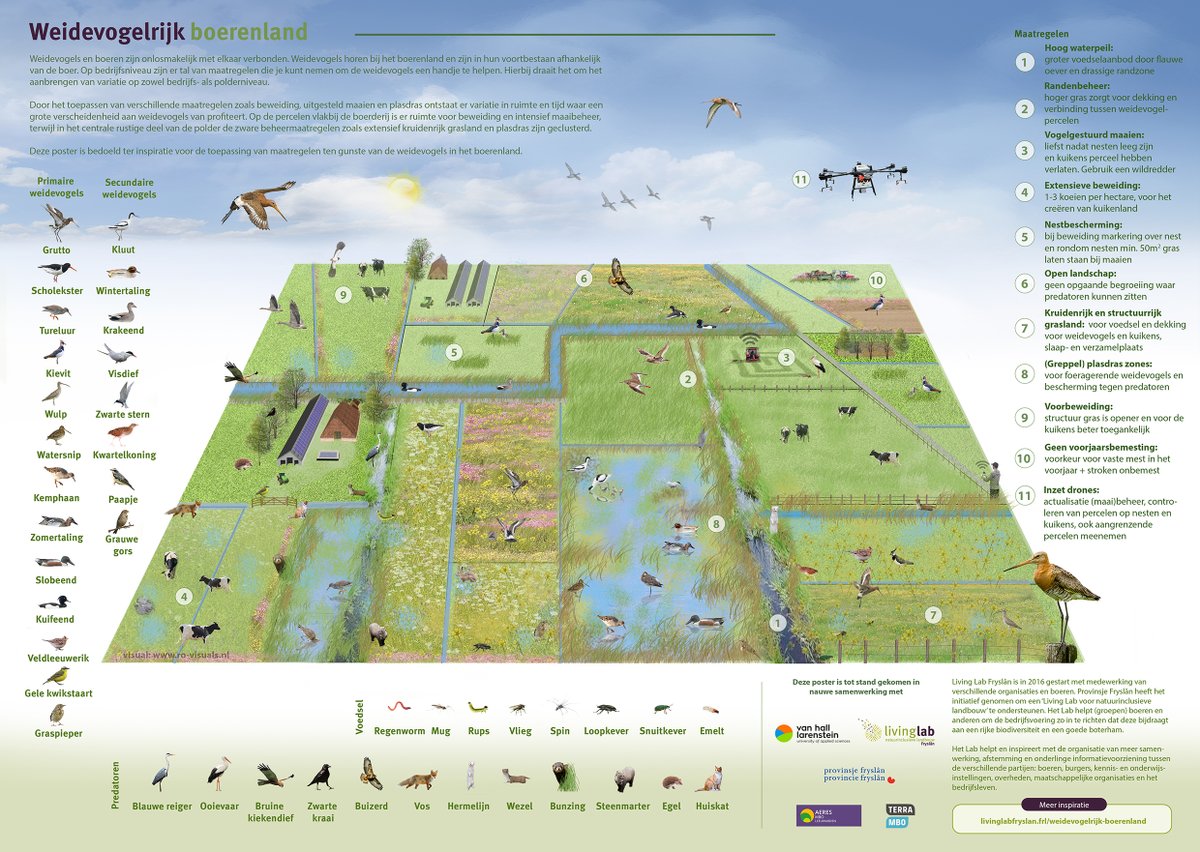 Wat kun jij in het maaiseizoen doen om weidevogels en andere dieren te beschermen?

ow.ly/Anpc50Oq9UK 

Bekijk deze clip van <a href="/AeresNL/">Aeres</a> ism <a href="/Hogeschool_VHL/">Hogeschool Van Hall Larenstein</a>. 
Tips:
1. Maai van binnen naar buiten.
2. Rij niet te snel.

3. Zet een wildredder in.
ow.ly/CeT250Oq9UJ