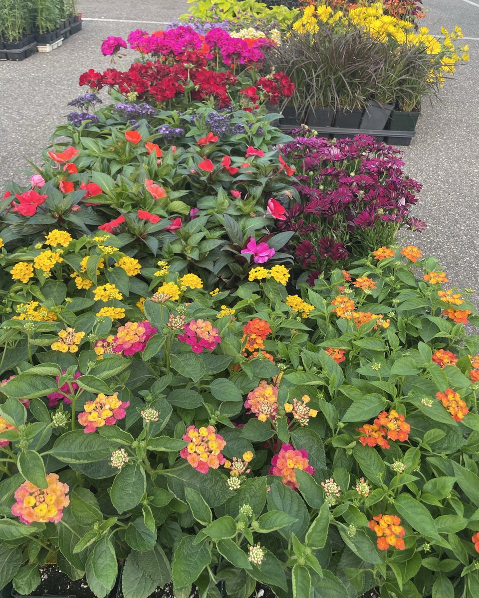 Looking for fresh, locally sourced meats and produce? Look no further than the Aldrich Arena Farmers' Market! Join us every Wednesday from May to October between 8:00 AM and 12:00 PM for an incredible selection of farm-fresh goods. 

#aldricharena #mngrown #stpaulfarmersmarket