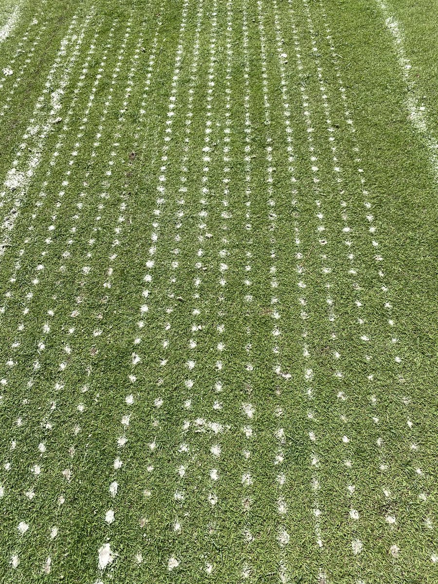 johnwwhite7's tweet photo. Show your greens a “Groovy Kind of Love” with the @VGR_equipment Topchanger. 3” of rain on the sand bin, no worries. #shotgunshells #wetject #poundingsand #wetsand @STECEquip @cliffwstewart @life_turf @BCSTEC9 @Tomtipturf Message to set up a demo. Have trailer, will travel. https://t.co/rC374y1eVn