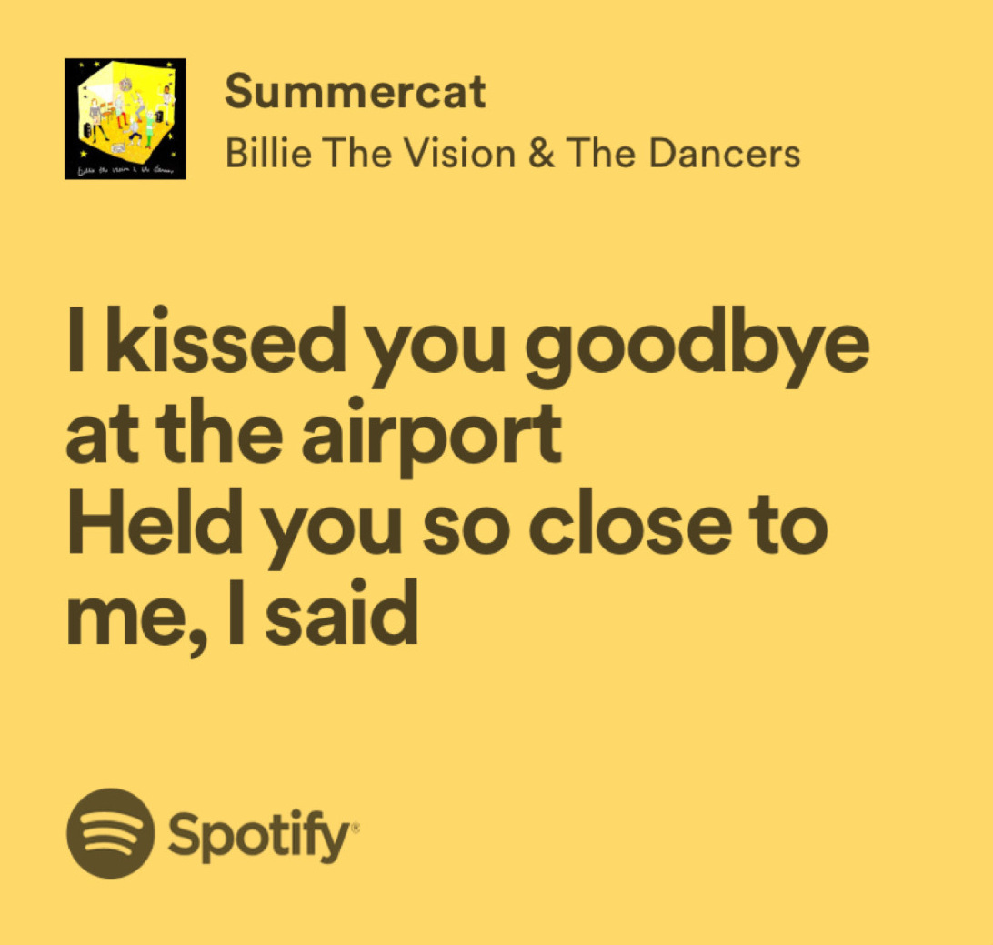 Estrella Damm Cat tweet media