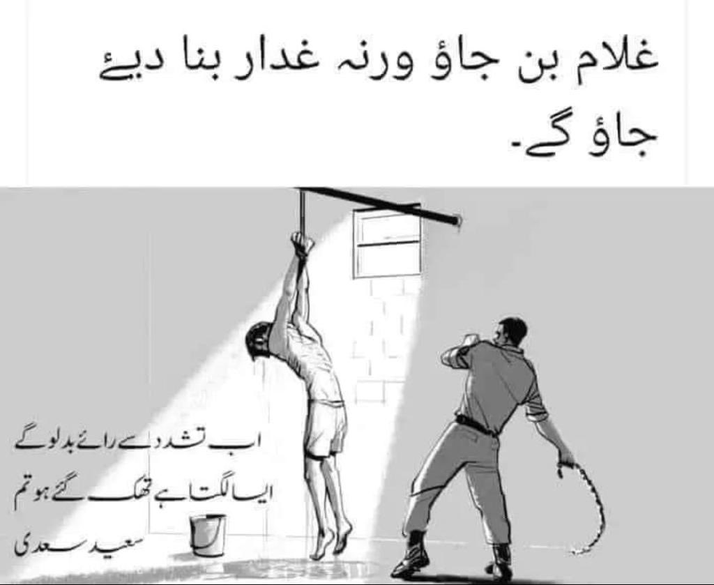 Sabir Shakir (@arysabirshakir) on Twitter photo 