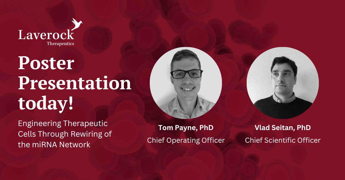 Laverock Therapeutics tweet media