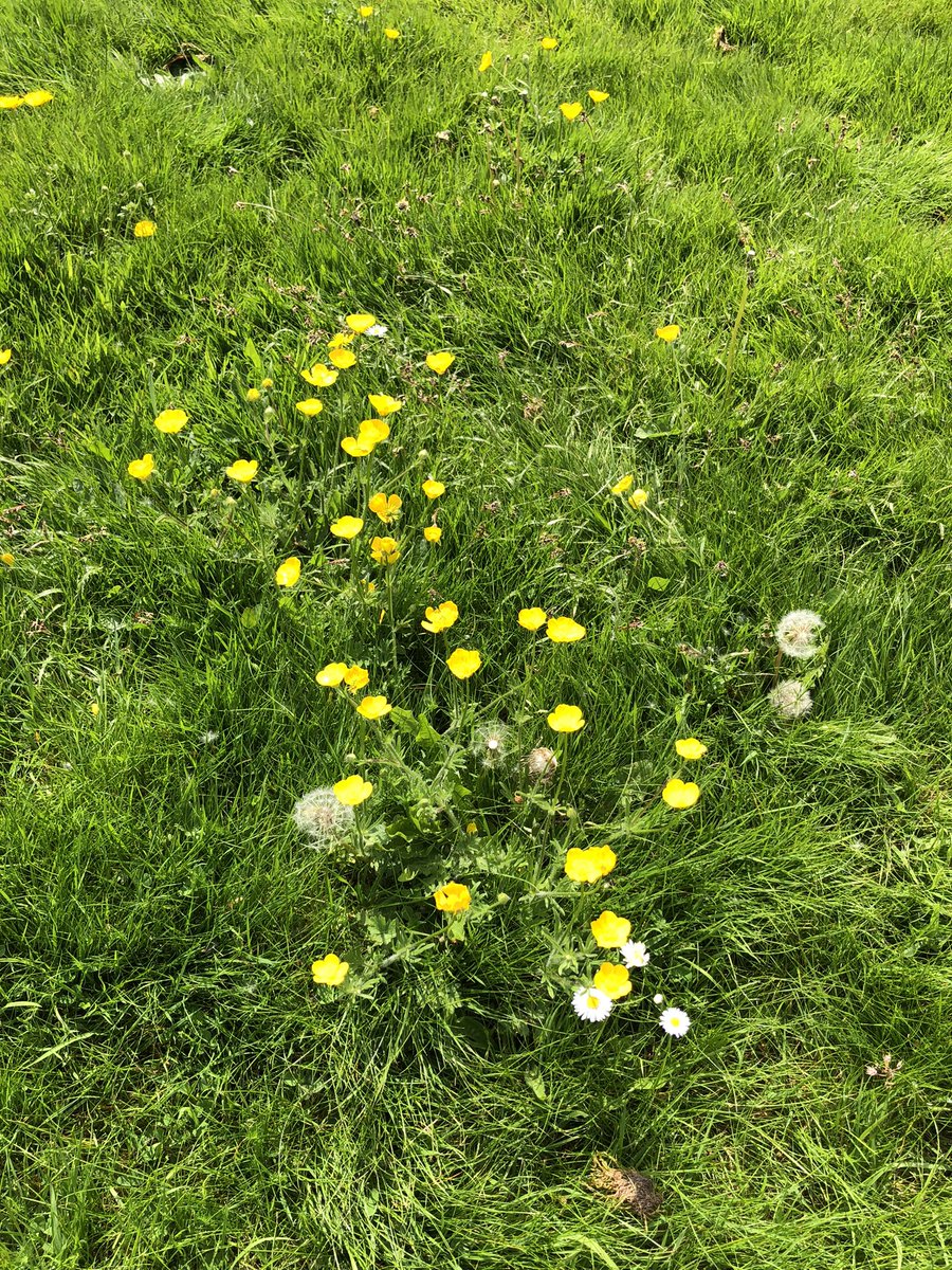 This is called Buttercup.

He remembers when he was called like that too.

Long sigh.