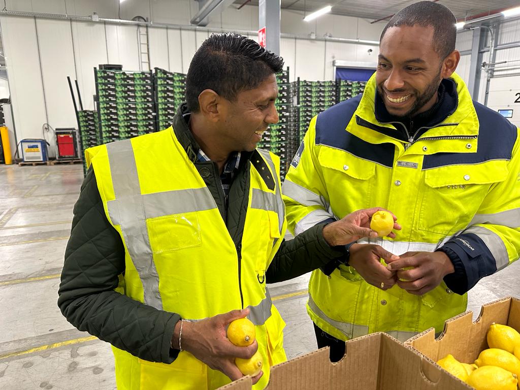 ppecbza's tweet photo. The PPECB enjoyed visiting the Quality Control Bureau (KCB) in the Netherlands this week to examine SA Fruit and share knowledge. https://t.co/MvOwHZjl7Z