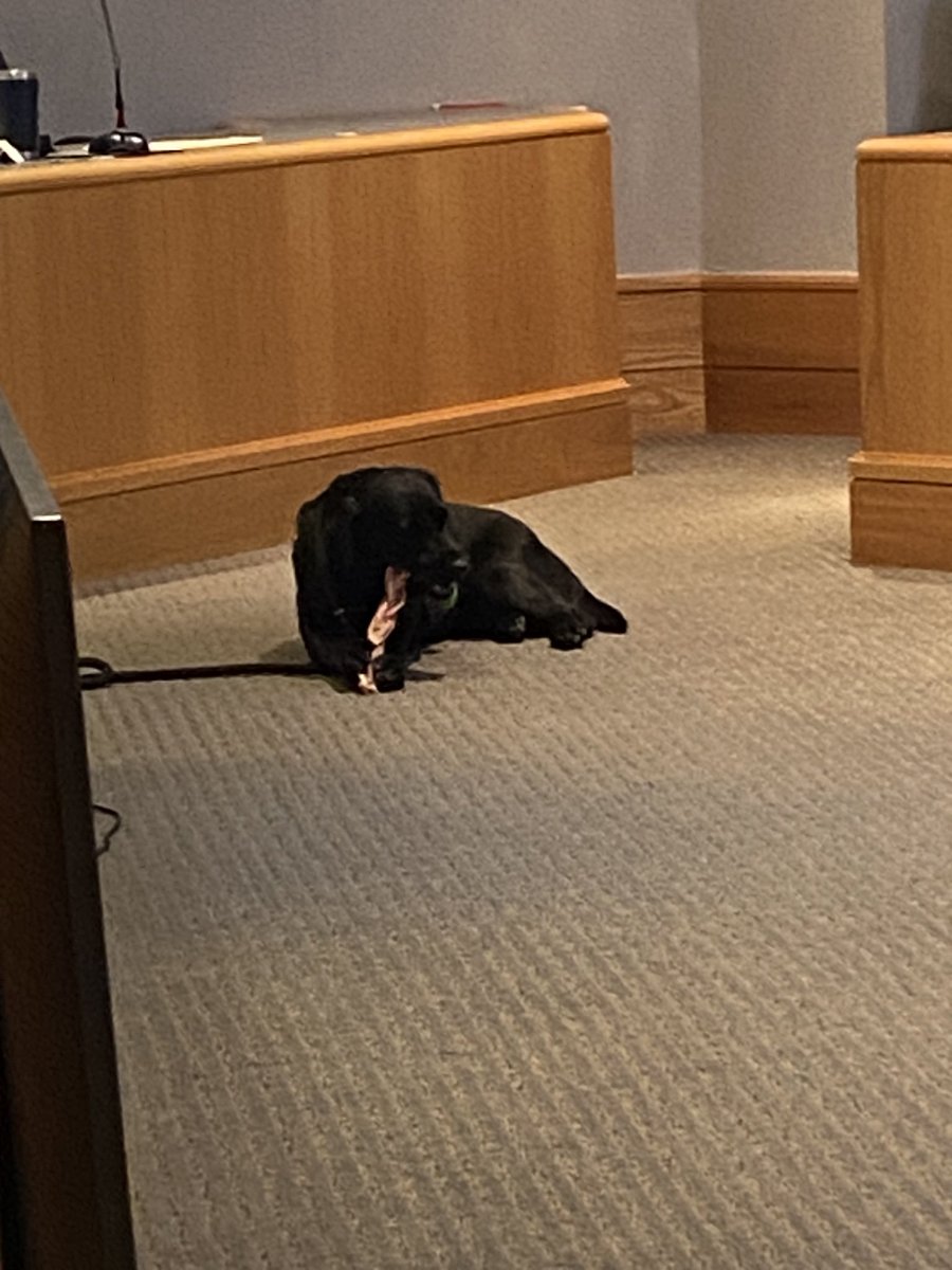 SLCSD's tweet image. Thank you to @SLCSHardy teachers Ashley Bentz and Andrea Stevens (and Hattie) for sharing information about their 1st grade co-taught classroom at last night’s Board of Education meeting.