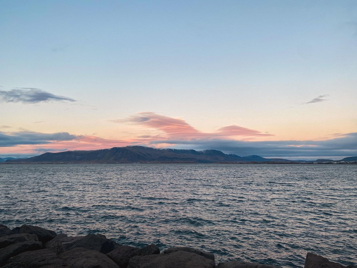 _icelandtours's tweet photo. POV: sunset in #Reykjavík 🇮🇸 Where are you heading first?
📍 Harbour
📍 #Harpa
📍 #SunVoyager
Bookmark this tweet for later when planning your #Iceland vacation 🔖 #IcelandMyWay https://t.co/LrsmGJ2fVe