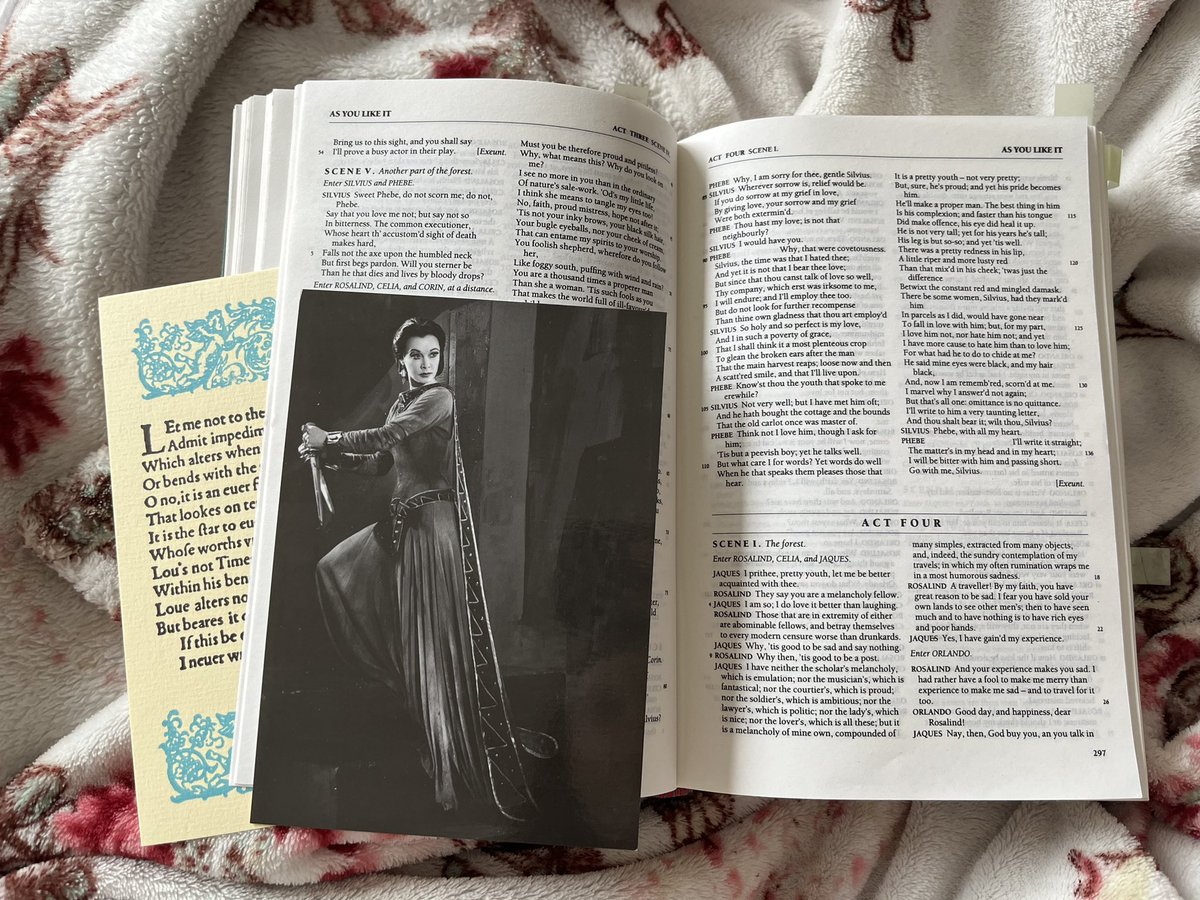 Shakespeare kind of day.✨