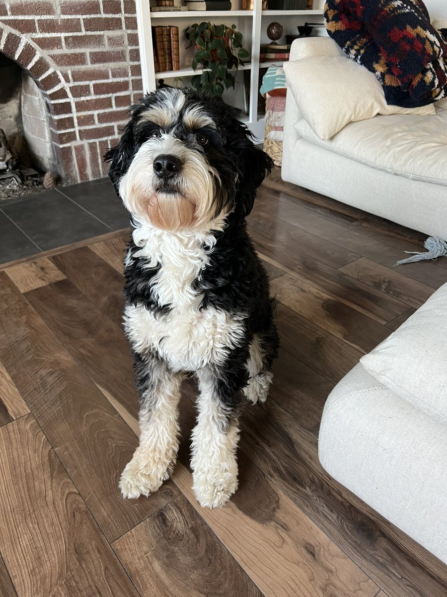 Eli McCann tweet media